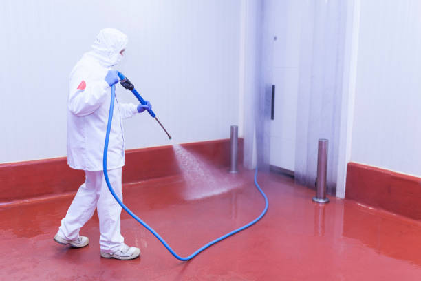 Professional Pressure Washing Services in Whitfield, FL