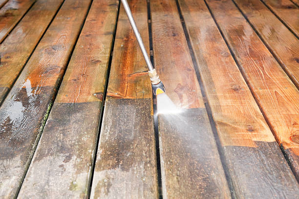 Best Driveway Pressure Washing  in Whitfield, FL